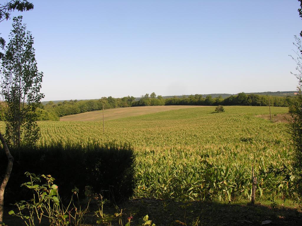 Pensjonat Chez Annie Saint-Avit-Rivière Zewnętrze zdjęcie